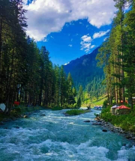 Untitled design (11)