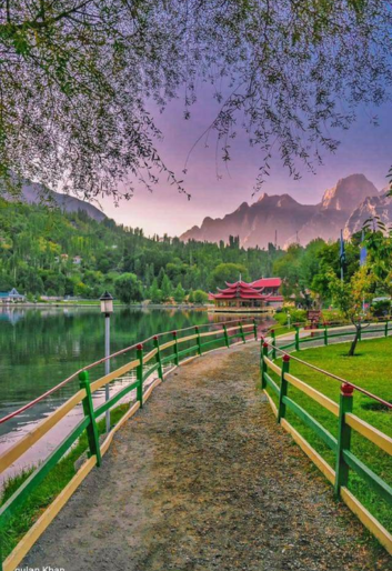 Untitled design (19)