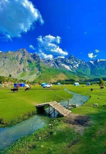 Untitled design (20)