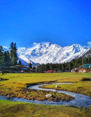 Untitled design (23)