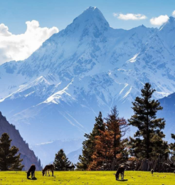 Untitled design (24)